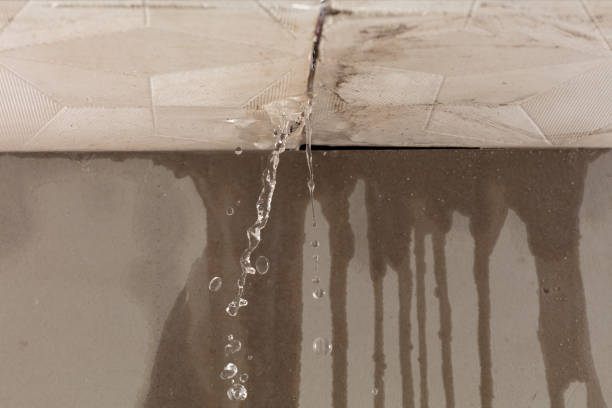 Professional Water Damage Repair technician working in West Virginia, WV